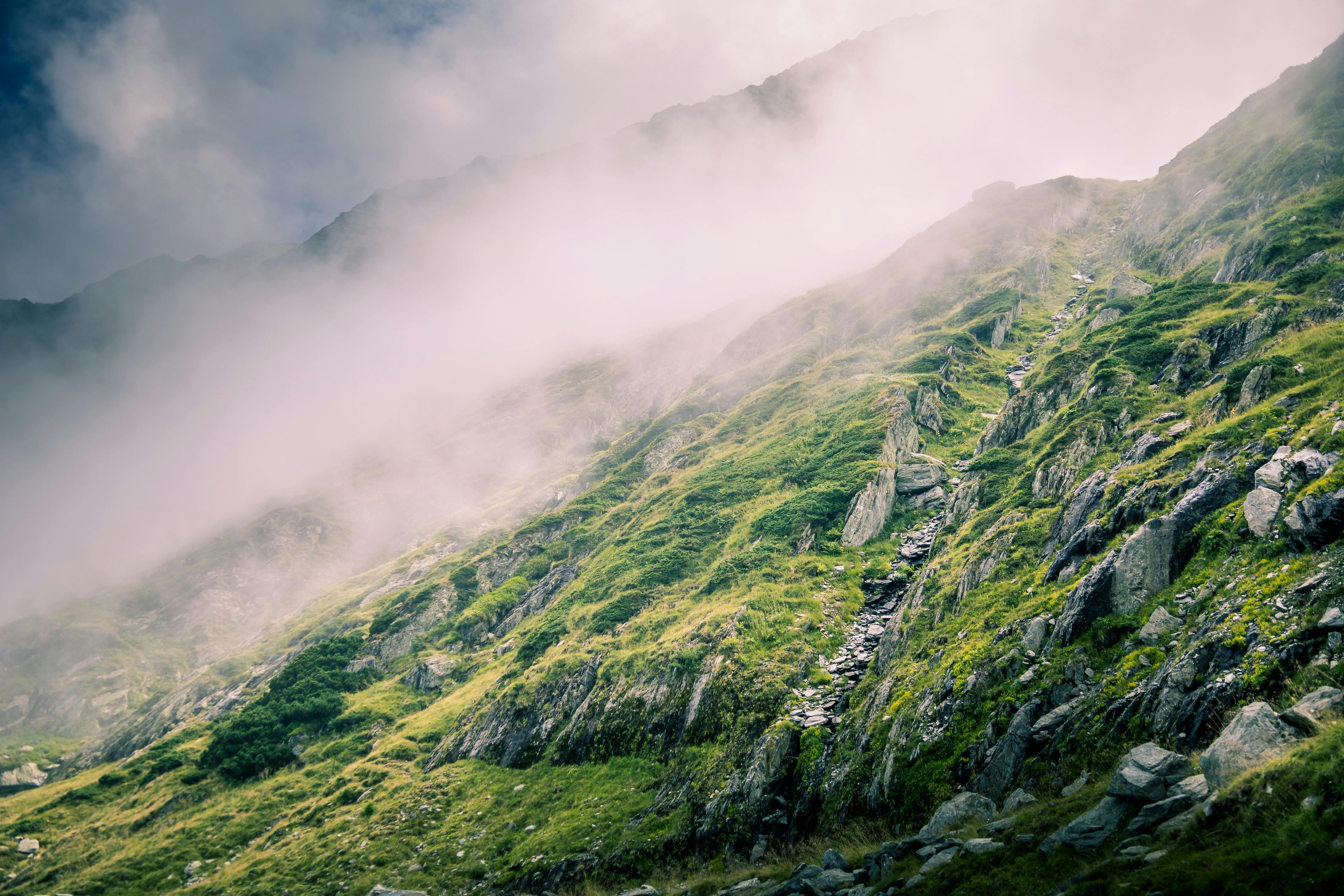 montagne et nature inspirantes en design